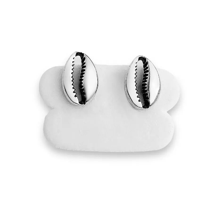 Cowrie shell stud earrings
