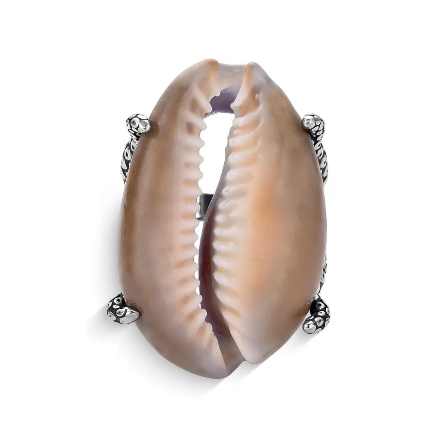 Natural snakehead crownie seashell ring