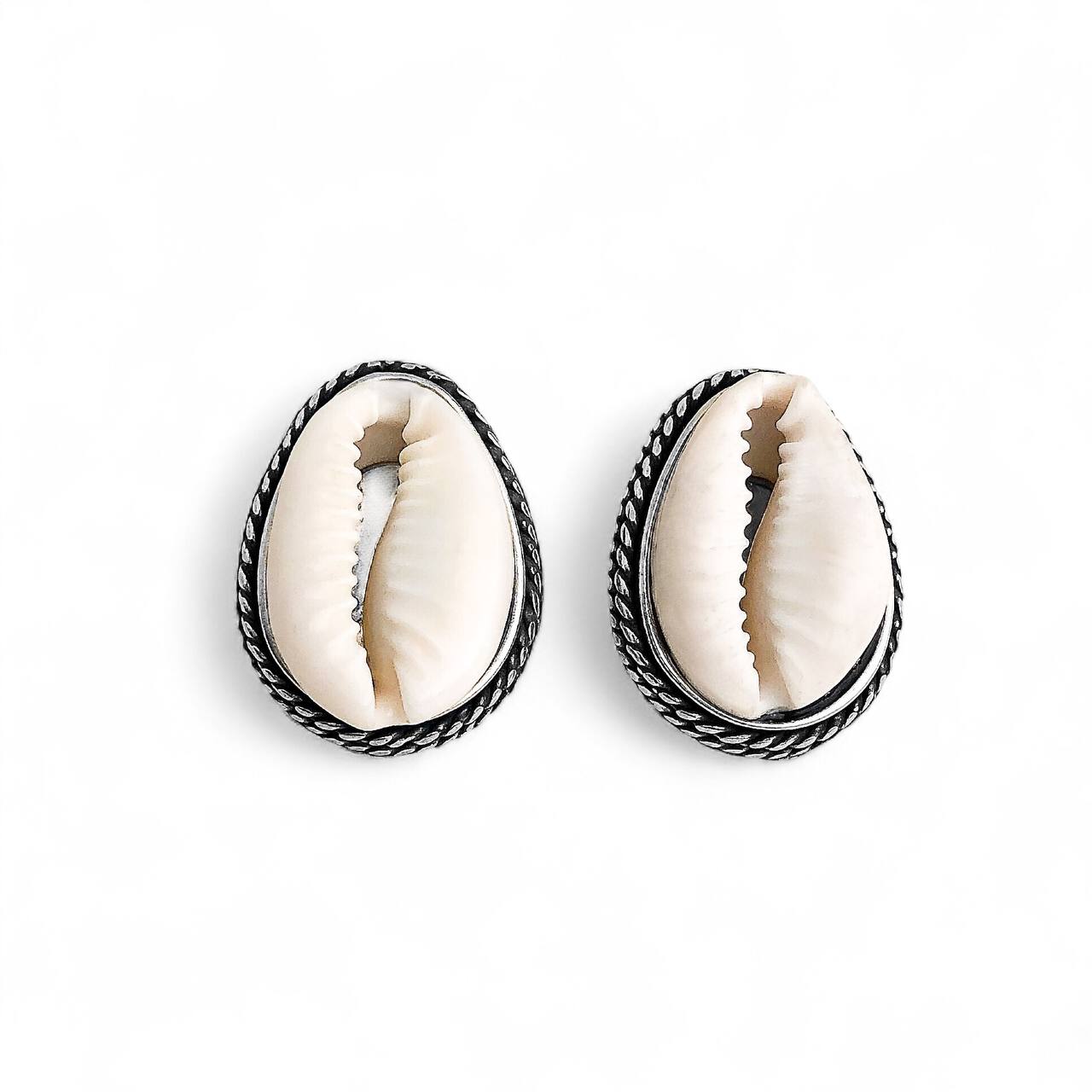 Framed natural cowrie shell stud earrings