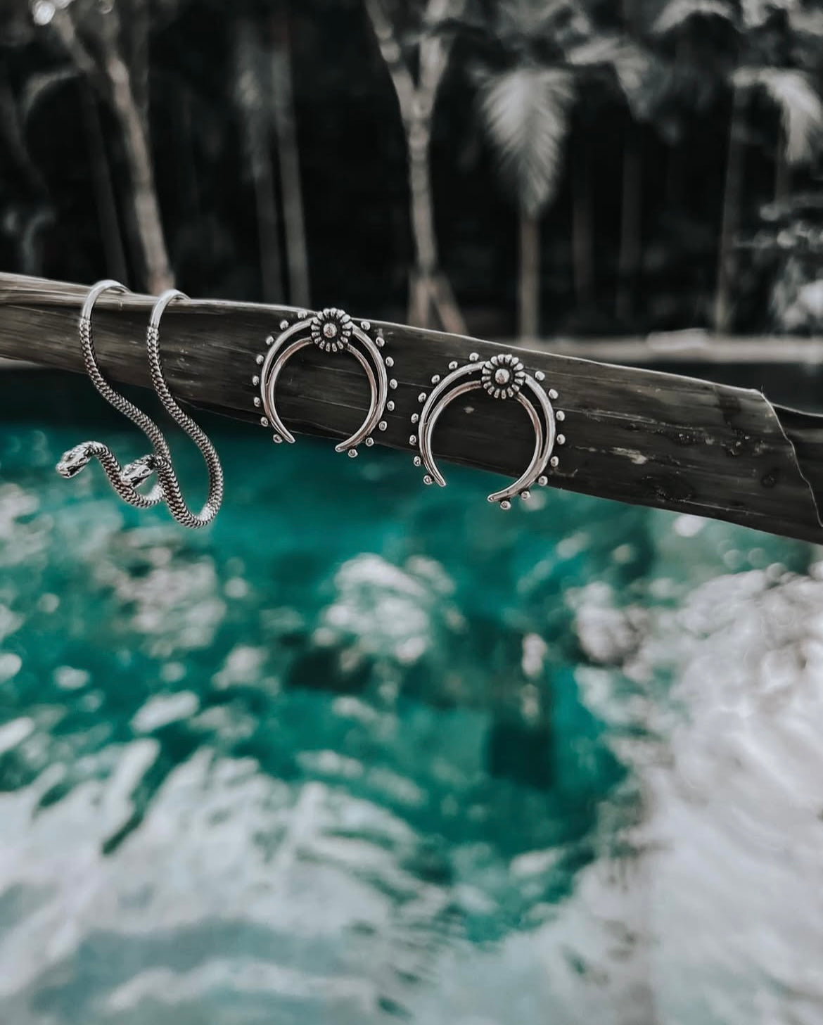 Daisy Horseshoe Earrings