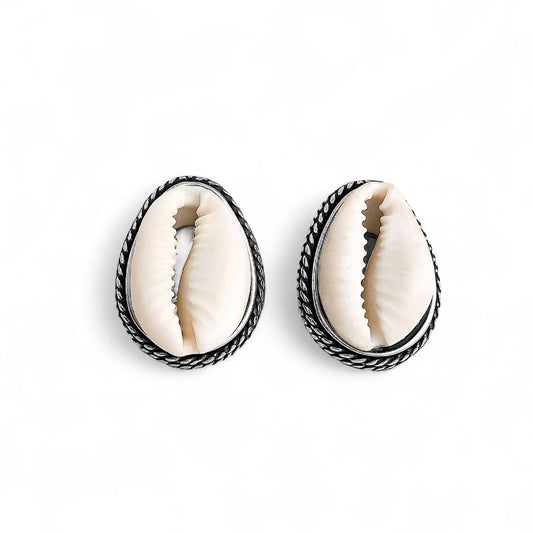 Framed natural cowrie shell stud earrings