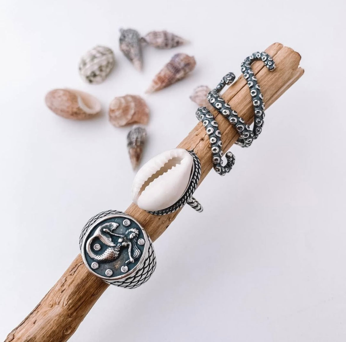 Framed Natural Cowrie Shell Ring